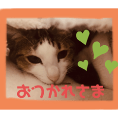 Alice_20201027142706