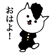 Daily conversation bad cat Daily conversation bad cat