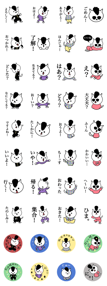 Daily conversation bad cat Daily conversation bad cat