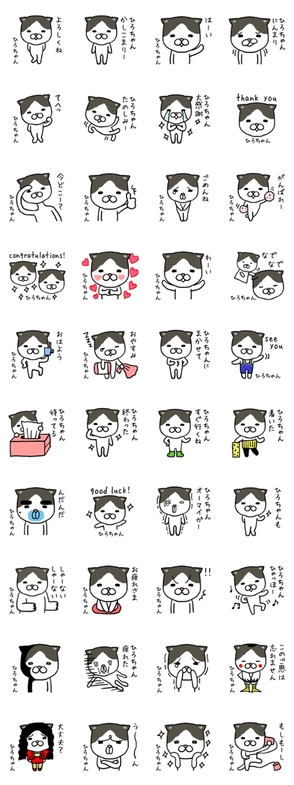 Hirochan cat Hirochan cat