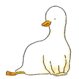 White Duckie