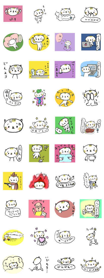 I am cat I have no name I am cat I have no name