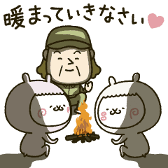 fool alpaca SP