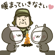 fool alpaca SP fool alpaca SP