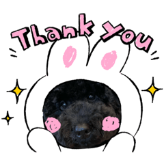 YUKARI_20201028155747