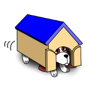 JIN-JIN St.Ber Life 5 JIN-JIN St.Ber Life 5