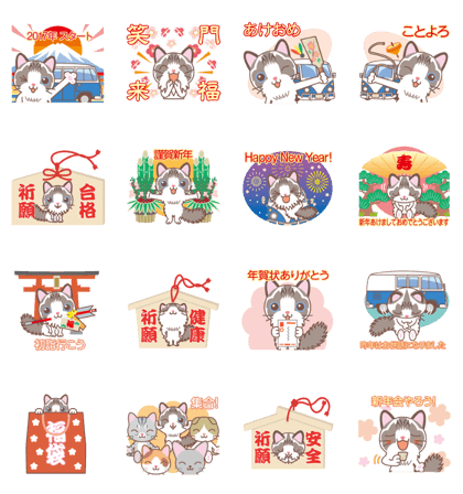 2017 NEW YEAR Ragdoll of a blue eye2 2017 NEW YEAR Ragdoll of a blue eye2