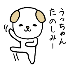 Uchan cat