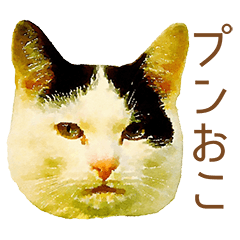 ドヤ猫のメモリーズ＜ドヤ顔のドラ猫物語＞