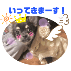 hana_20201028192210