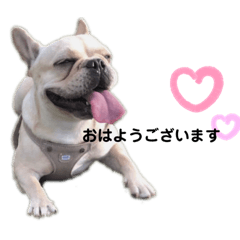 omochi_2020102820085422