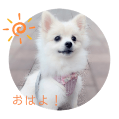 omochi_20201028200342