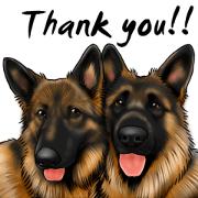 German Shepherd Dogs. Part3.