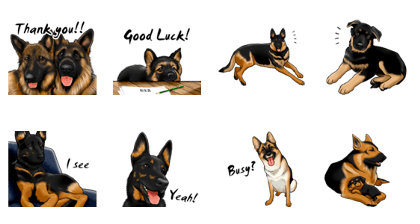 German Shepherd Dogs. Part3.
