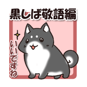 Japanese dog black Shiba Inu