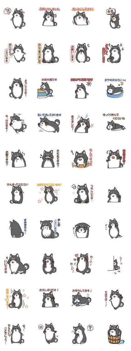 Japanese dog black Shiba Inu