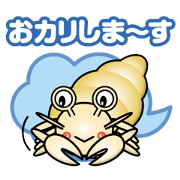 hermit crub boy hermit crub boy