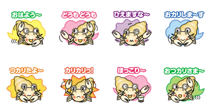 hermit crub boy hermit crub boy