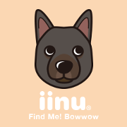 iinu - Australian Kelpie