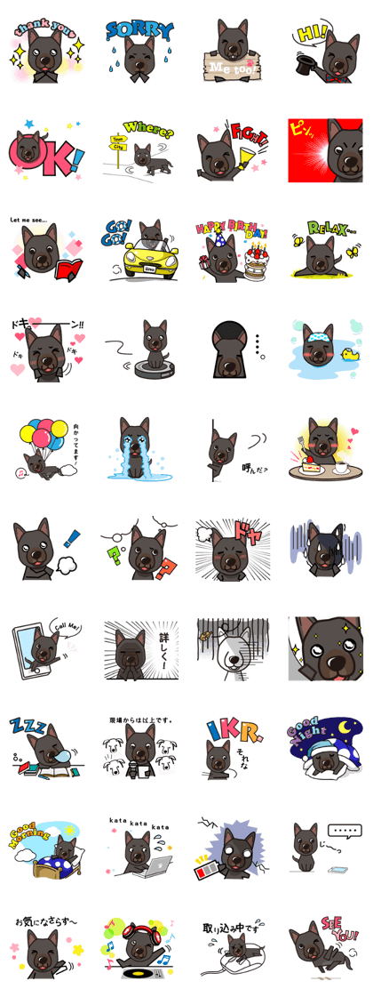 iinu - Australian Kelpie