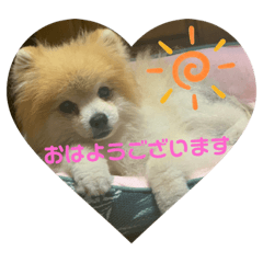 Saya_20201028222917