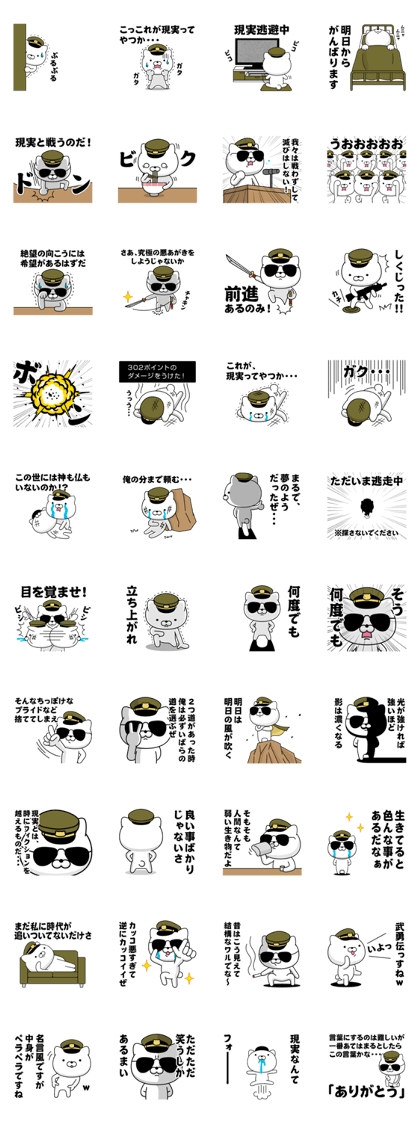 Military cat 5 Military cat 5