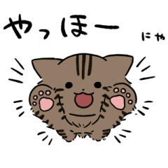 Long hair brown tabby cat sticker2