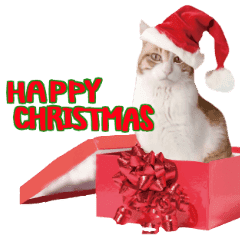 Cat S Christmas Line Stickers Line Store