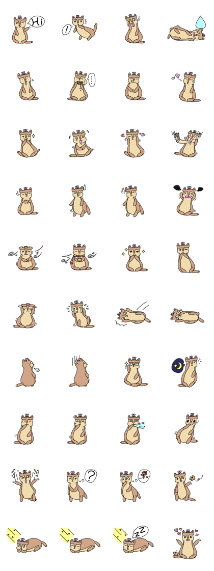 Flowery squirrel,Roka