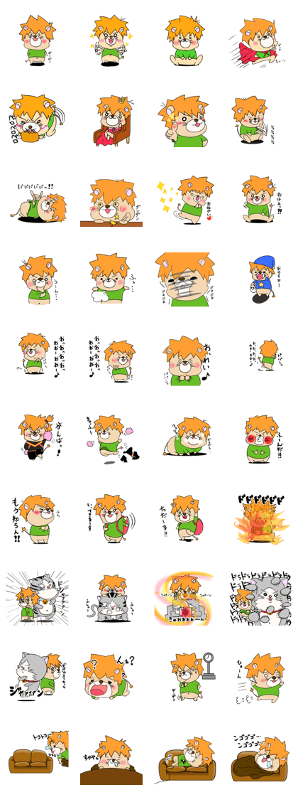 Laita(Lion) Laita(Lion)