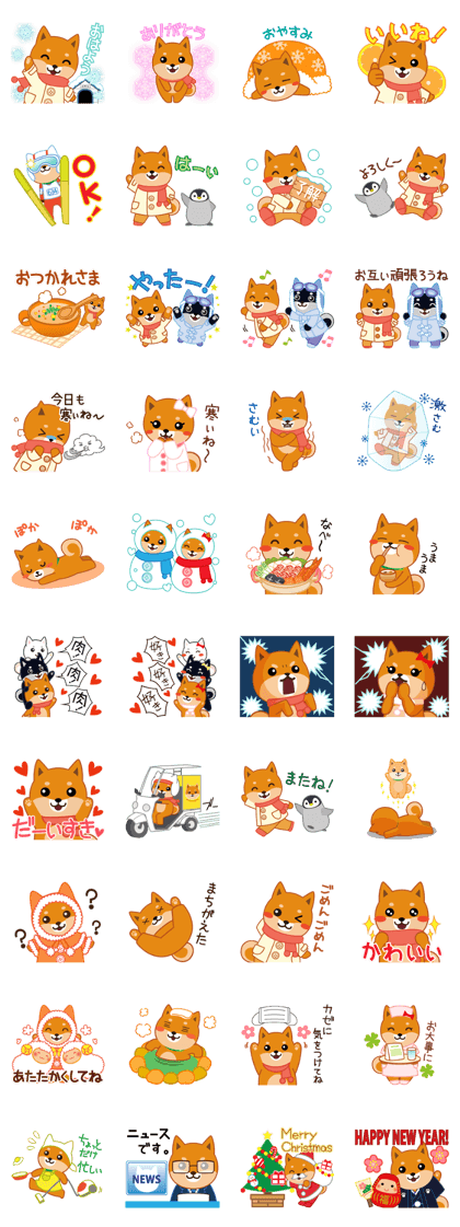 Shiba dog "MUSASHI" 10 winter