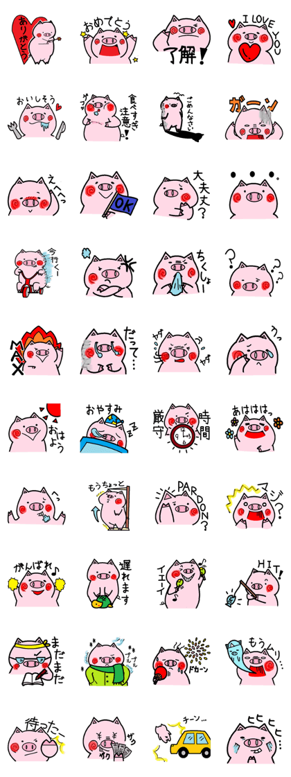 Daily routine of a pig Daily routine of a pig