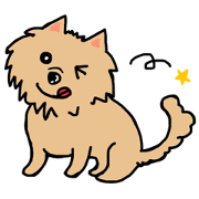 cutedog everyday cutedog everyday