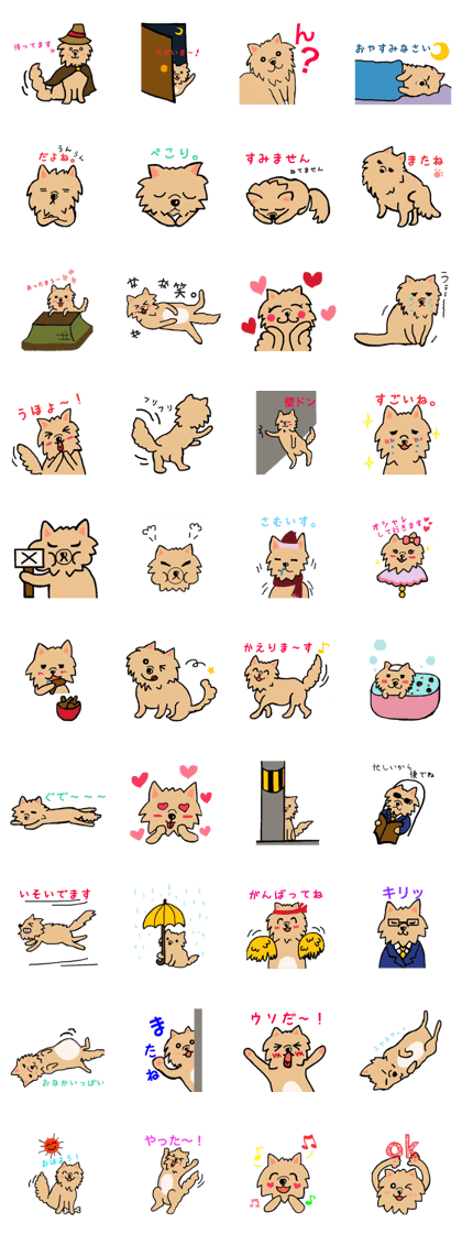 cutedog everyday cutedog everyday