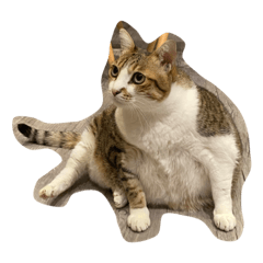 lilylilylilylllllllll