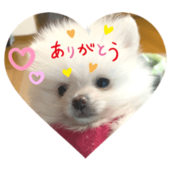 Mochi_20201029003011