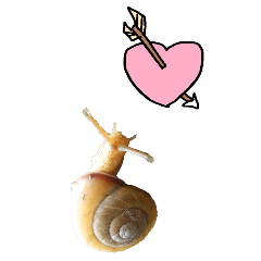 Doodle on snails-BIG