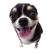 I am Lil. (Happy&New Year's) I am Lil. (Happy&New Year's)