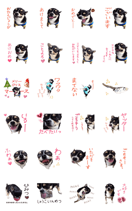 I am Lil. (Happy&New Year's) I am Lil. (Happy&New Year's)