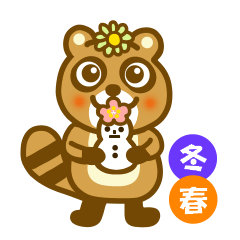 Winter and spring raccoon dog