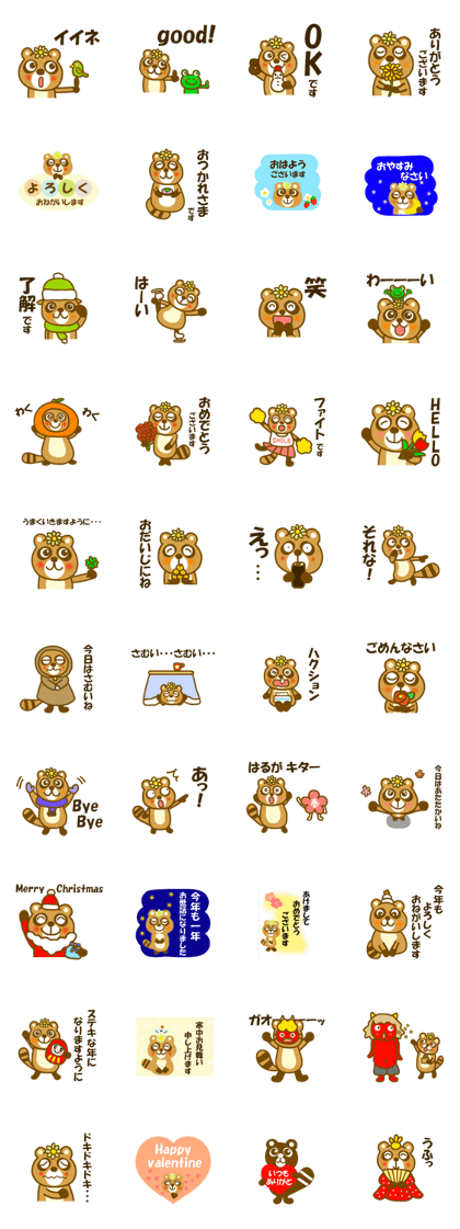 Winter and spring raccoon dog Winter and spring raccoon dog