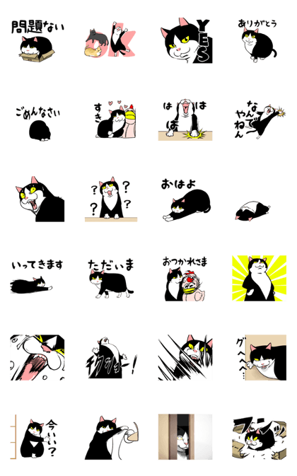 A little fat cat animation A little fat cat animation