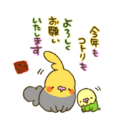 HappyNewBirds HappyNewBirds