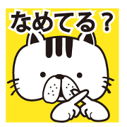 underestimate cat sticker underestimate cat sticker