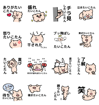 Boy of the piglet2 Boy of the piglet2