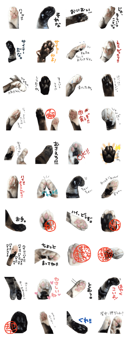 paw of a cat paw of a cat