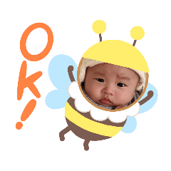 樂樂桑也來報到