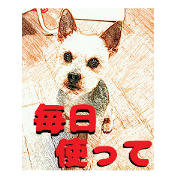 Hana of the Yorkshire terrier Hana of the Yorkshire terrier