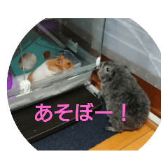 chan_20201029120624