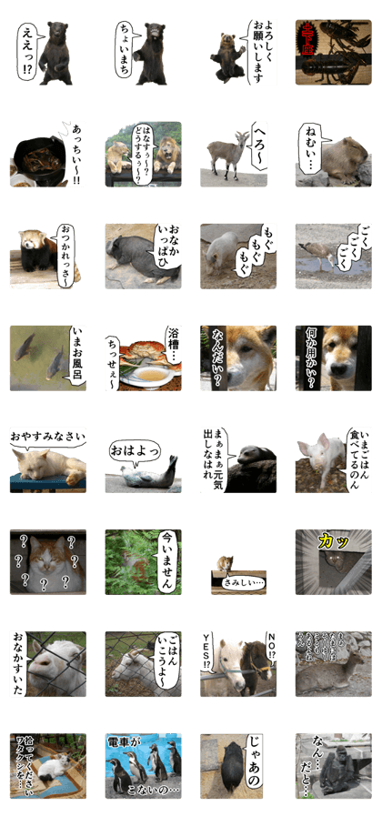 Cry at the heart of animals Cry at the heart of animals